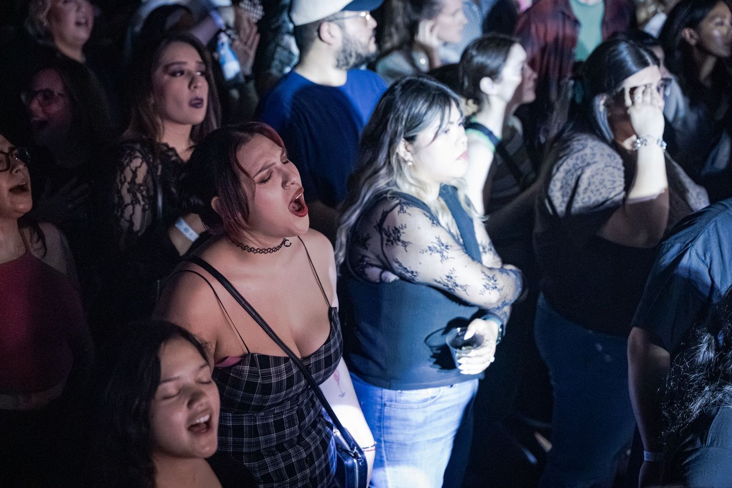 Excited crowd of fans singing and enjoying a live concert event in a dimly lit venue.