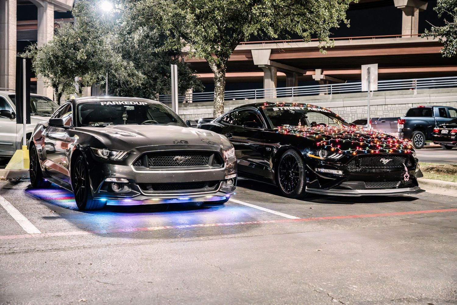 Two modified Mustangs with LED underglow lighting parked side by side at night.