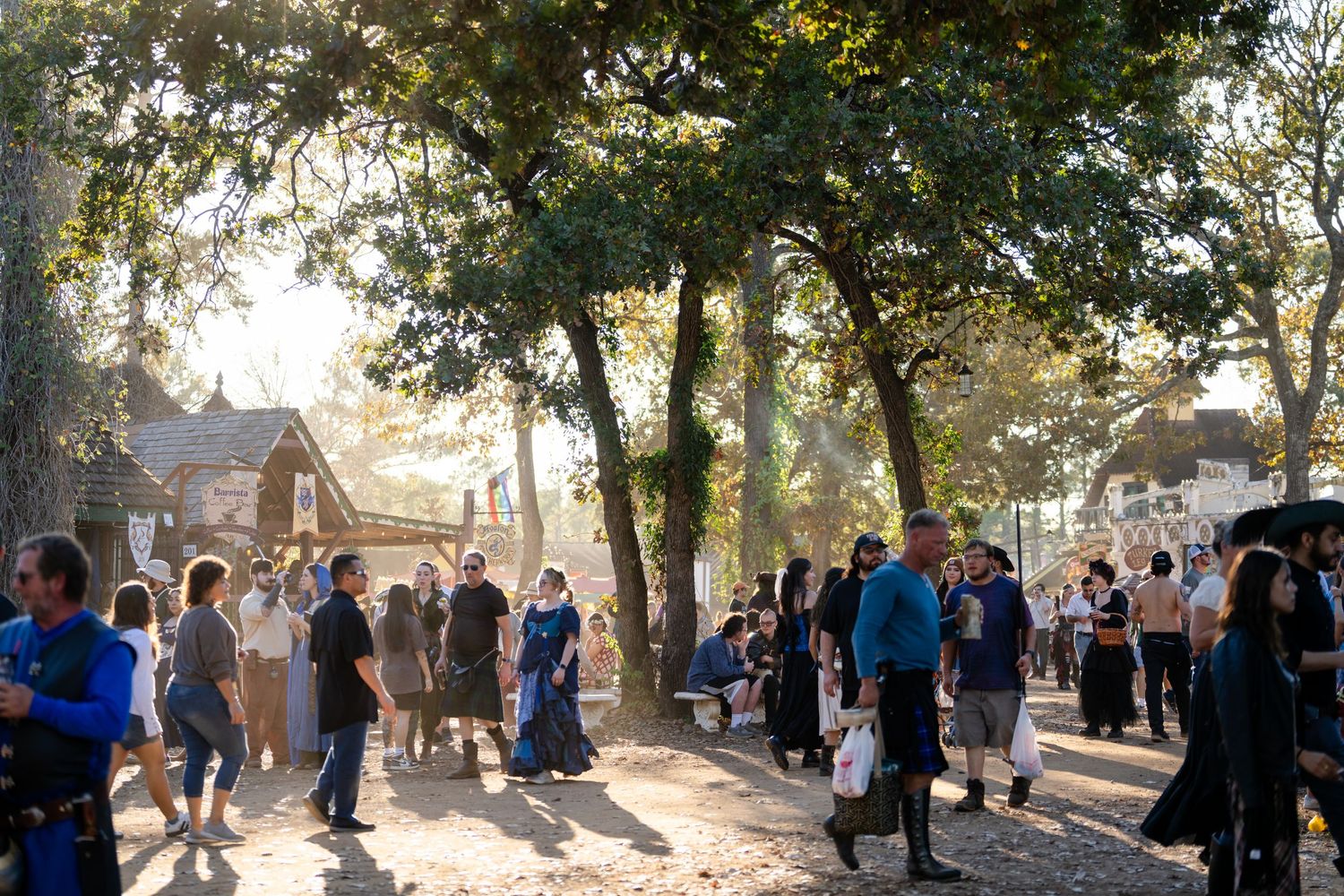 A crowd gathers outdoors under trees during a sunny day for a community event.