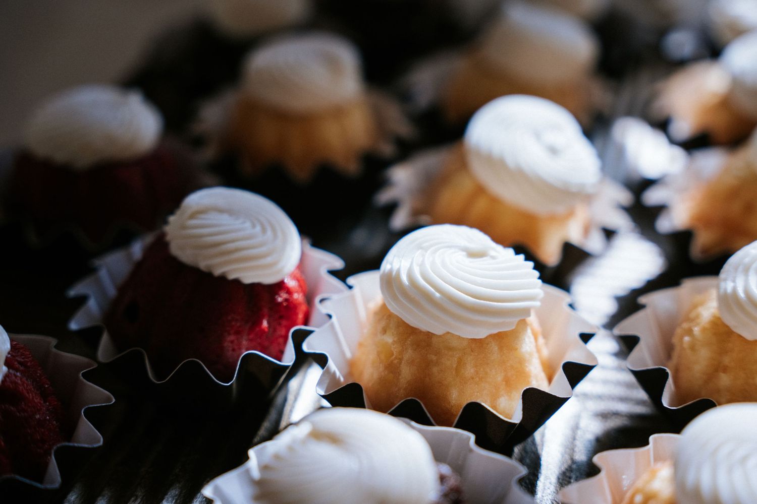 Close-up of red velvet and vanilla cupcakes with white frosting arranged in black paper liners.