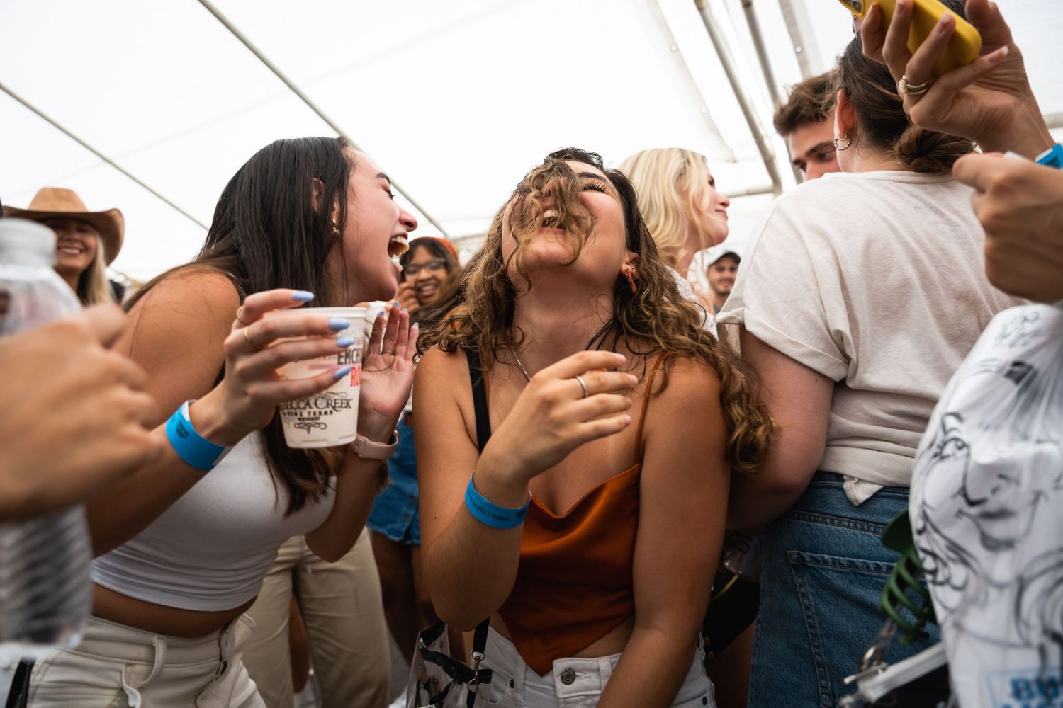 Group of attendees laughing and dancing together at a lively outdoor celebration.