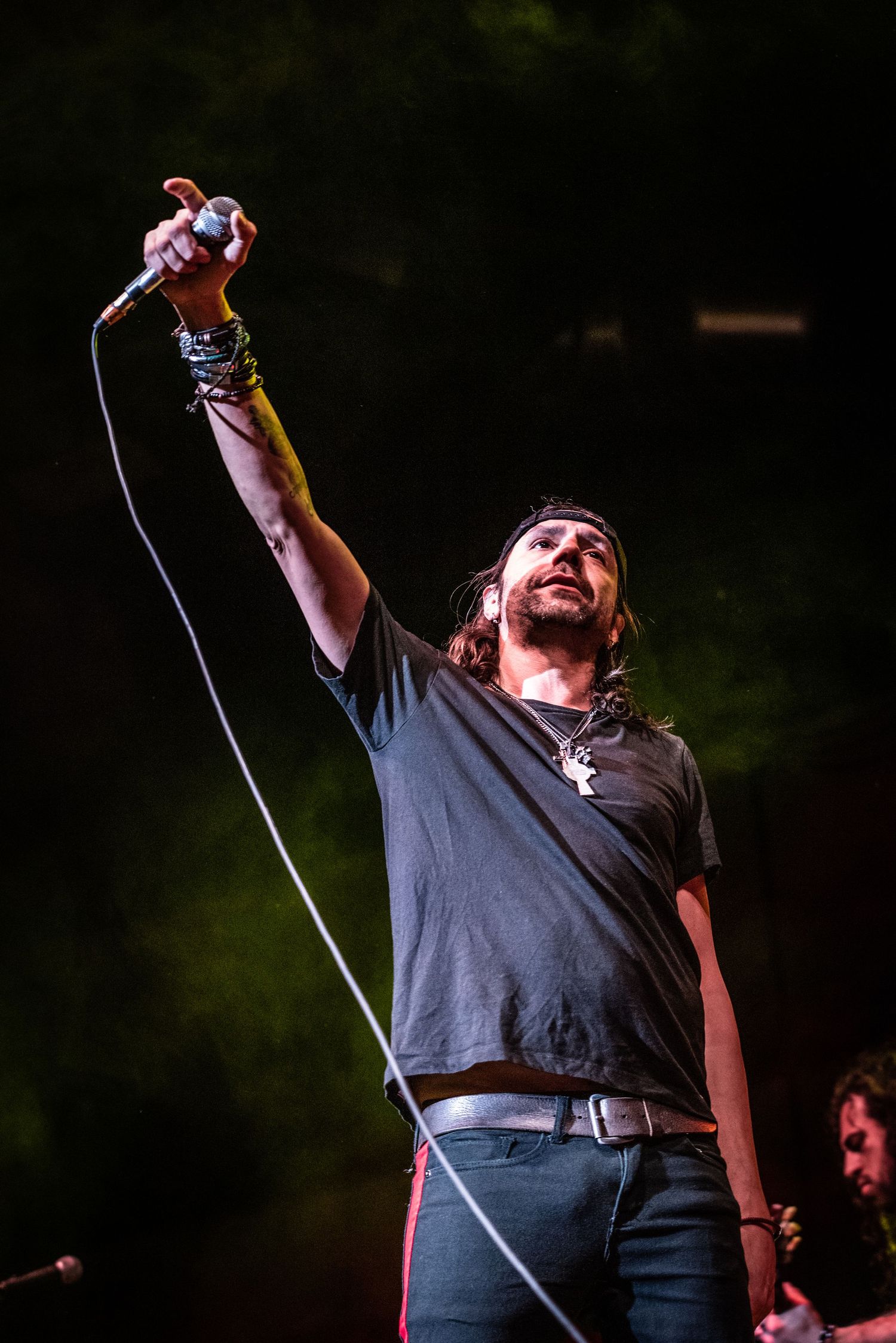 Singer raises microphone triumphantly during emotional performance with green lighting.
