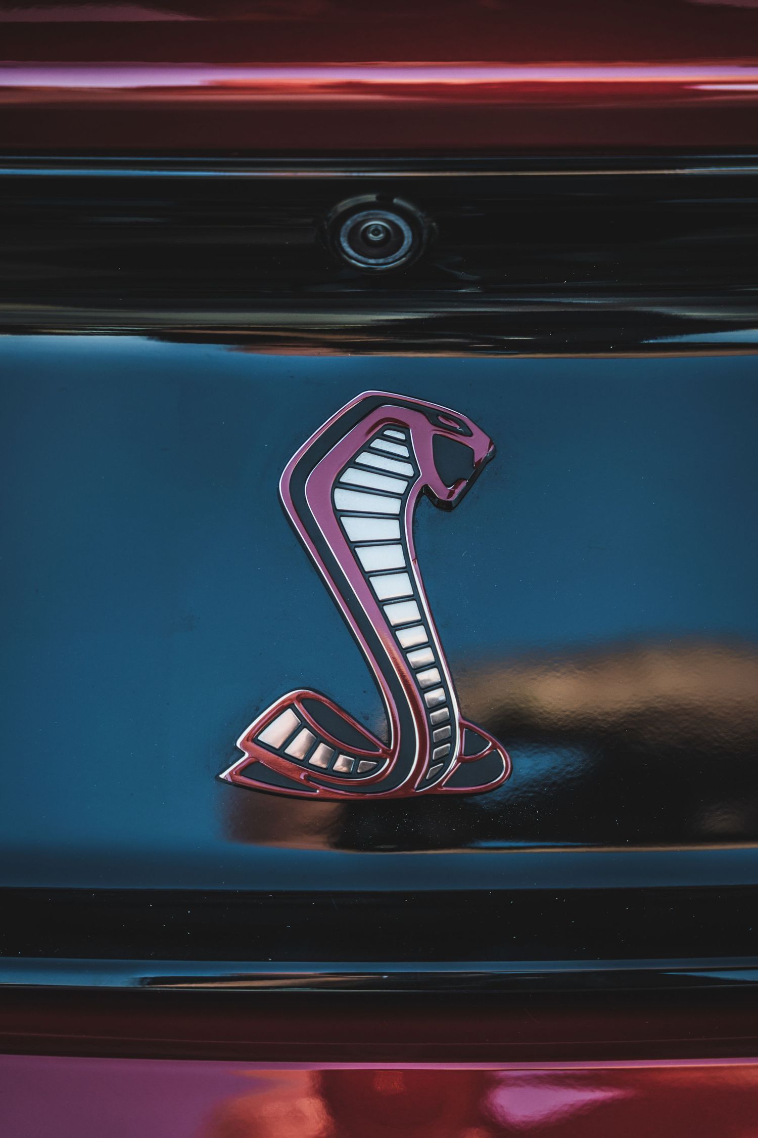 Shelby Cobra emblem detail on dark car surface with colorful lighting effects.