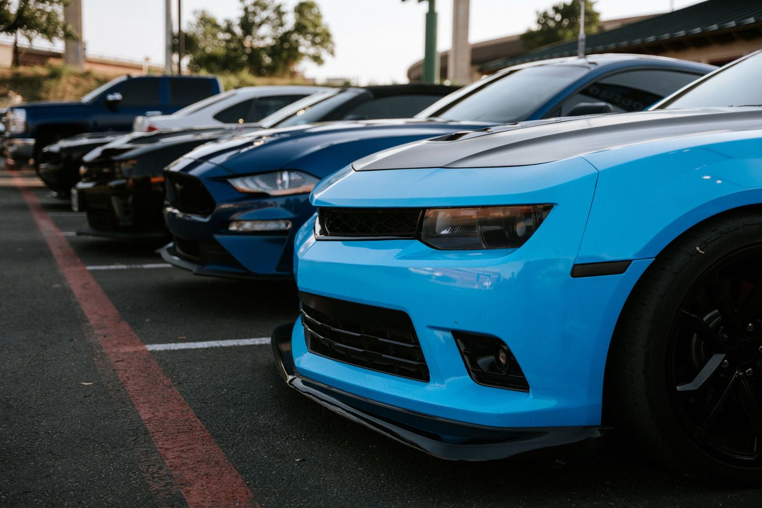 Row of modified Chevrolet Camaros in bright blue and black colors.