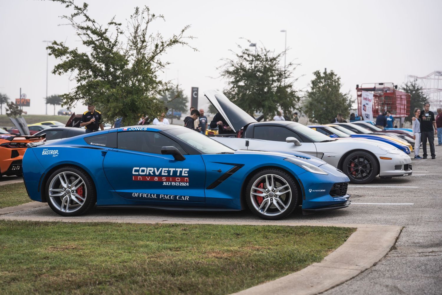 A row of Chevrolet Corvettes on display including a blue model with racing graphics.