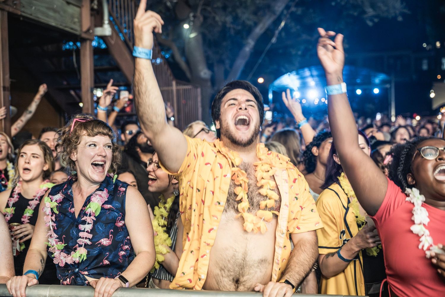 Energetic fans cheer and celebrate during outdoor music festival performance.