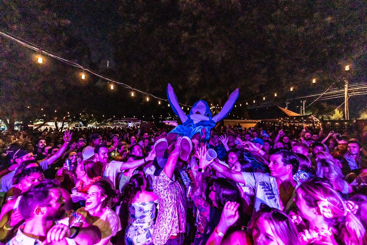 Crowd at outdoor music festival illuminated by purple lights with someone raised on shoulders.