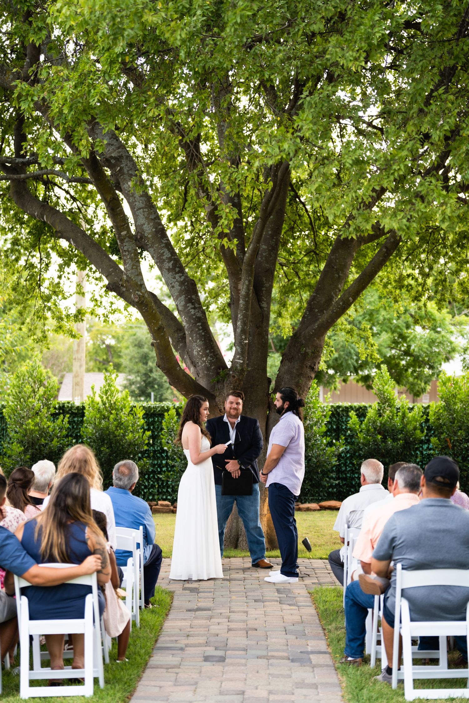 An outdoor wedding ceremony under a large green tree with guests seated on white chairs along a stone pathway.
