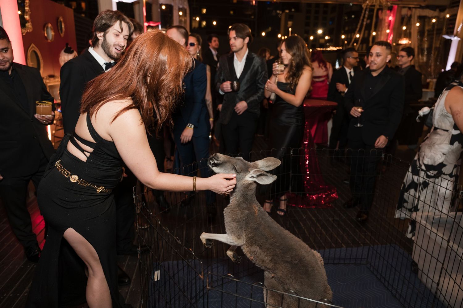 People dancing together at a dimly lit nightclub or party venue with festive lighting in the background.