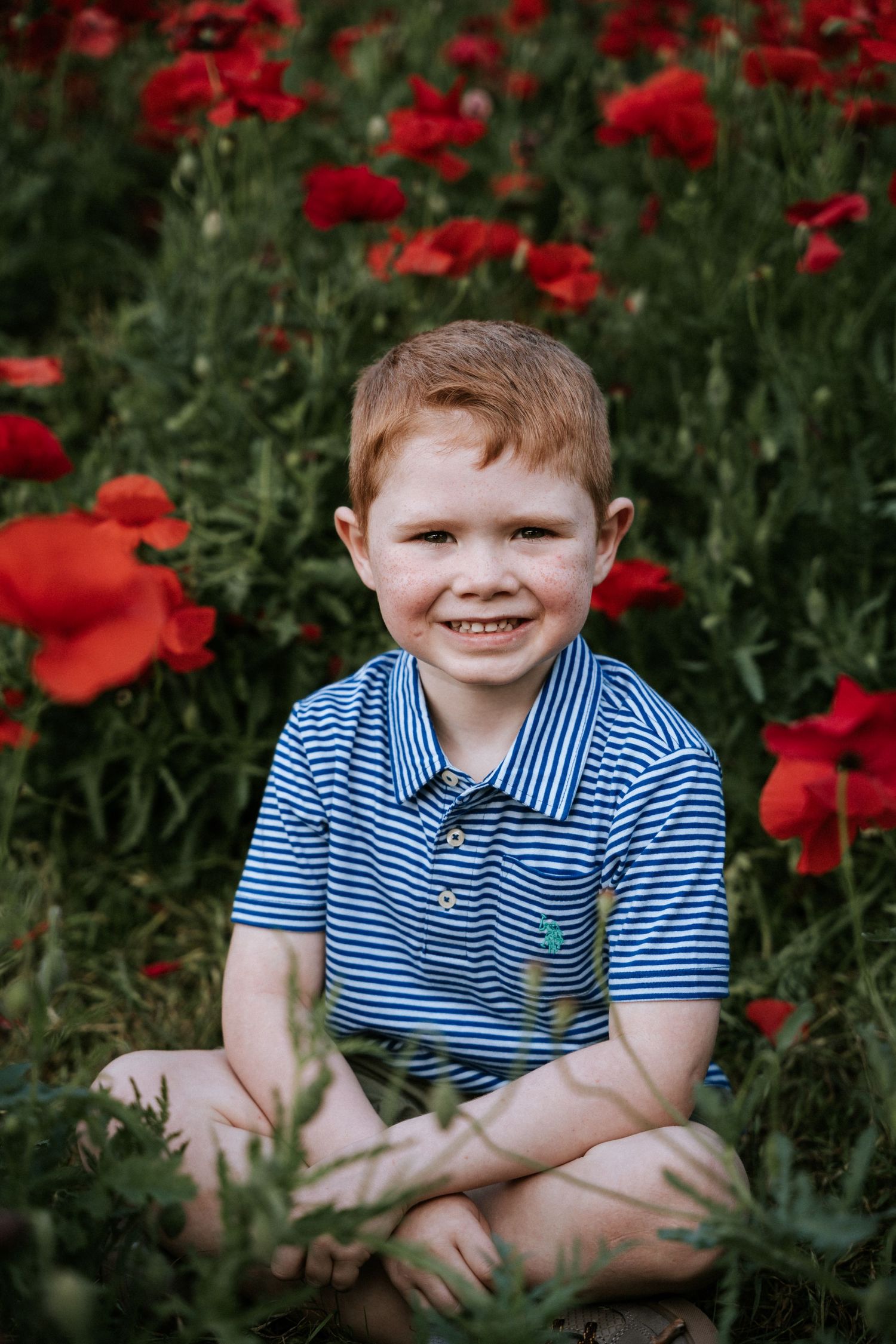 Child in blue striped shirt sits cross-legged among red poppies.