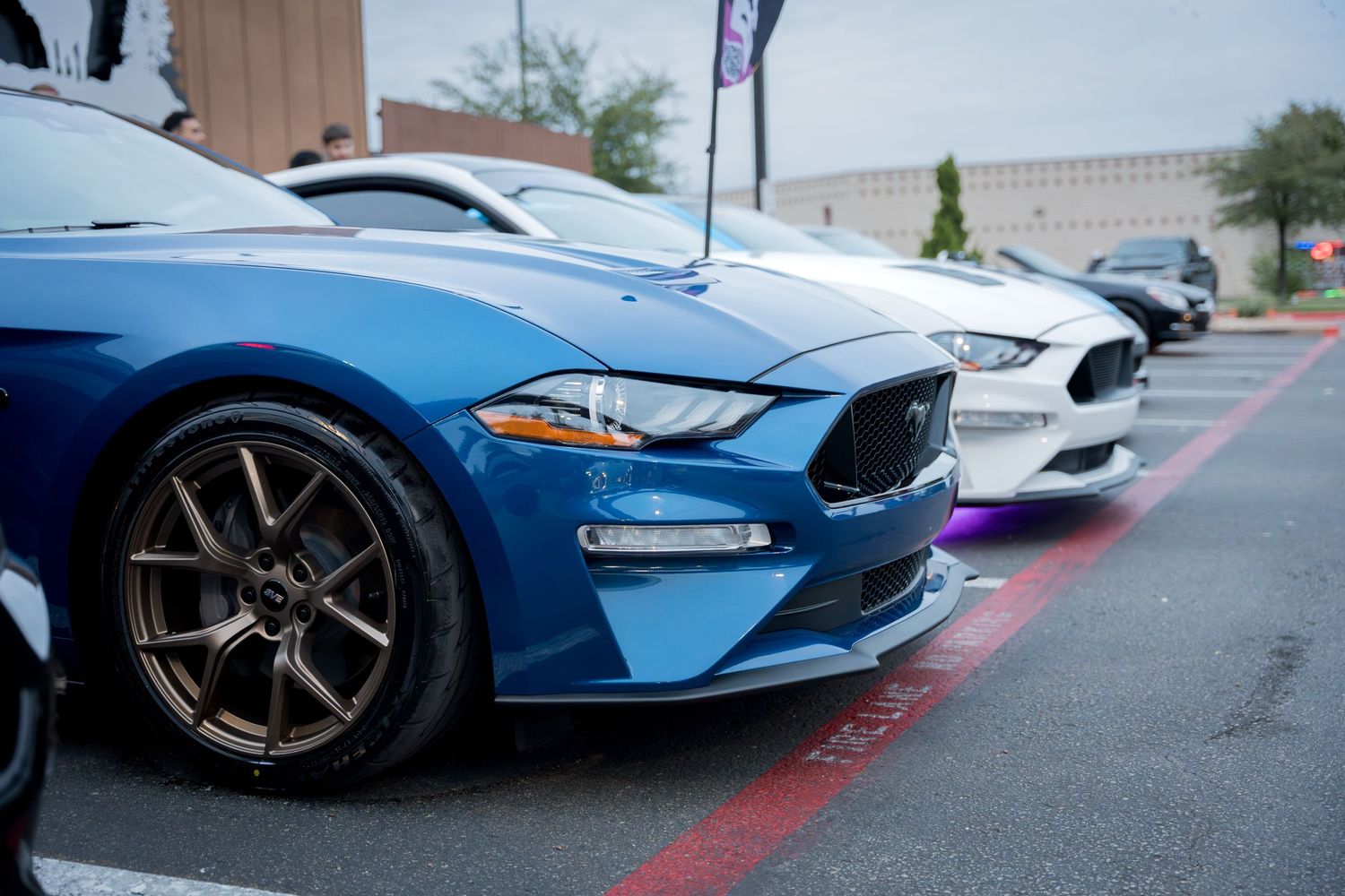 Row of Ford Mustangs including a blue model with custom wheels parked at a car show.