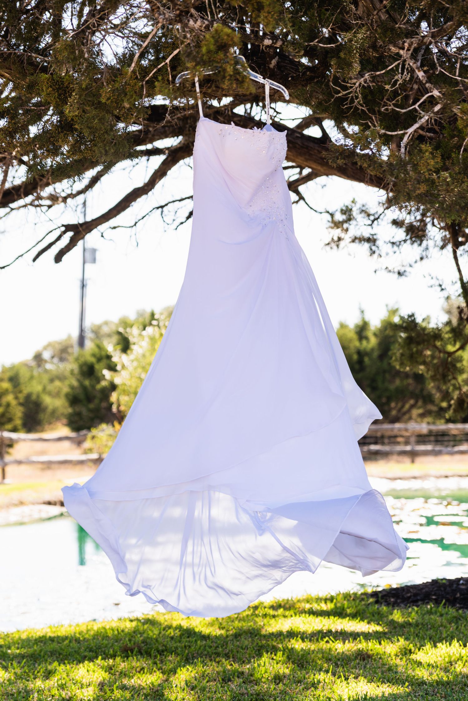 A white wedding dress hangs from a tree branch against a sunny outdoor backdrop.