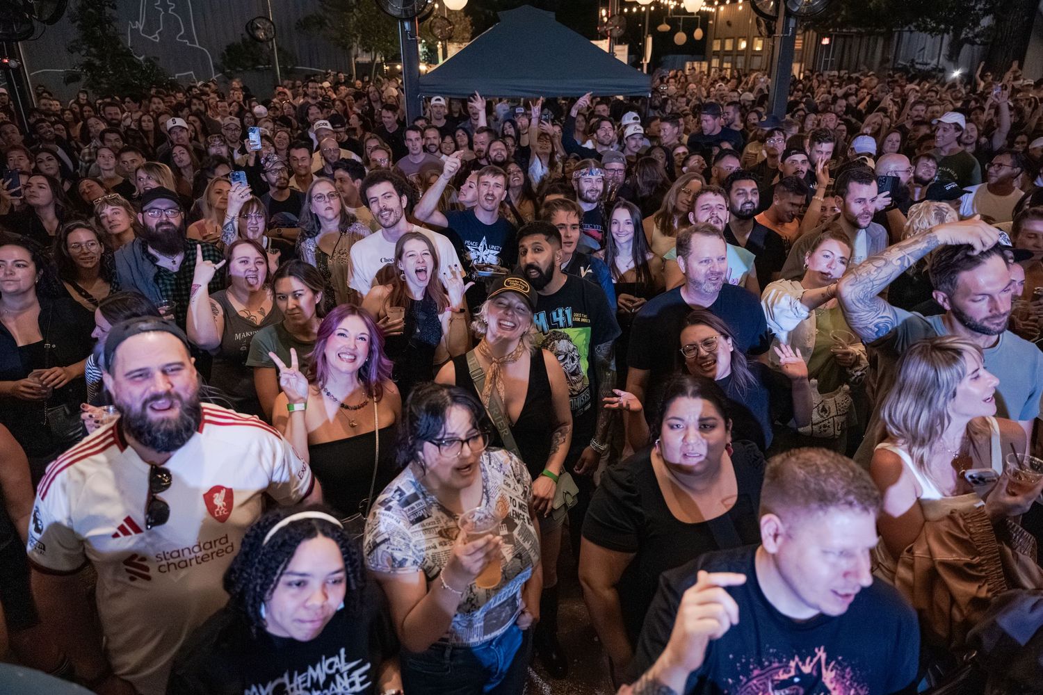 Large crowd of excited concert-goers enjoying an outdoor night music festival event.
