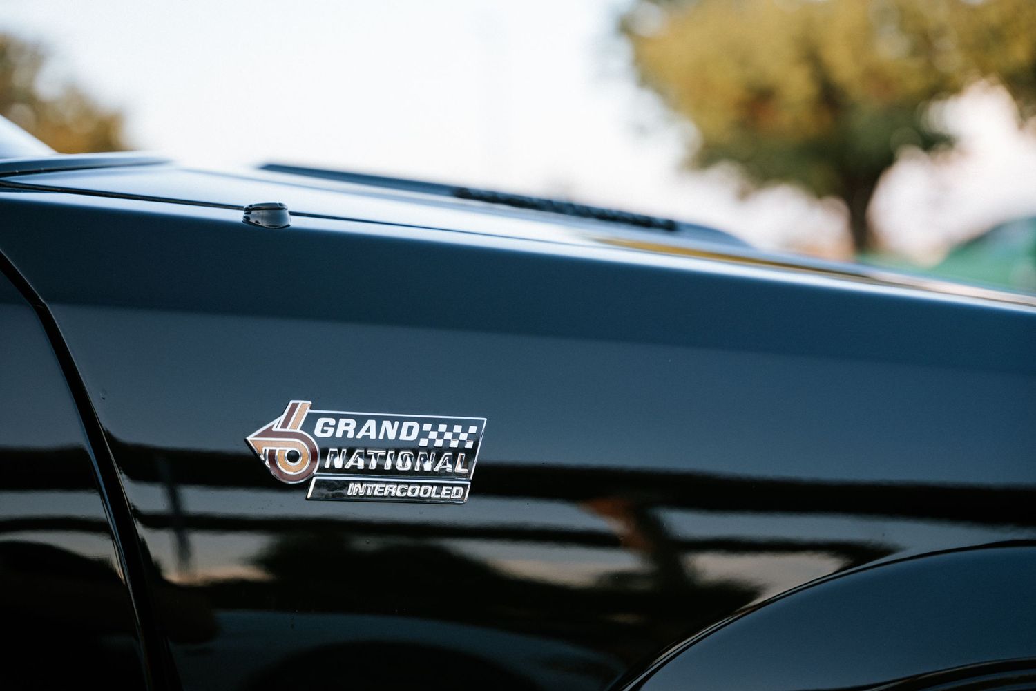 Close-up detail shot of a Grandwood National logo badge on a black vehicle.