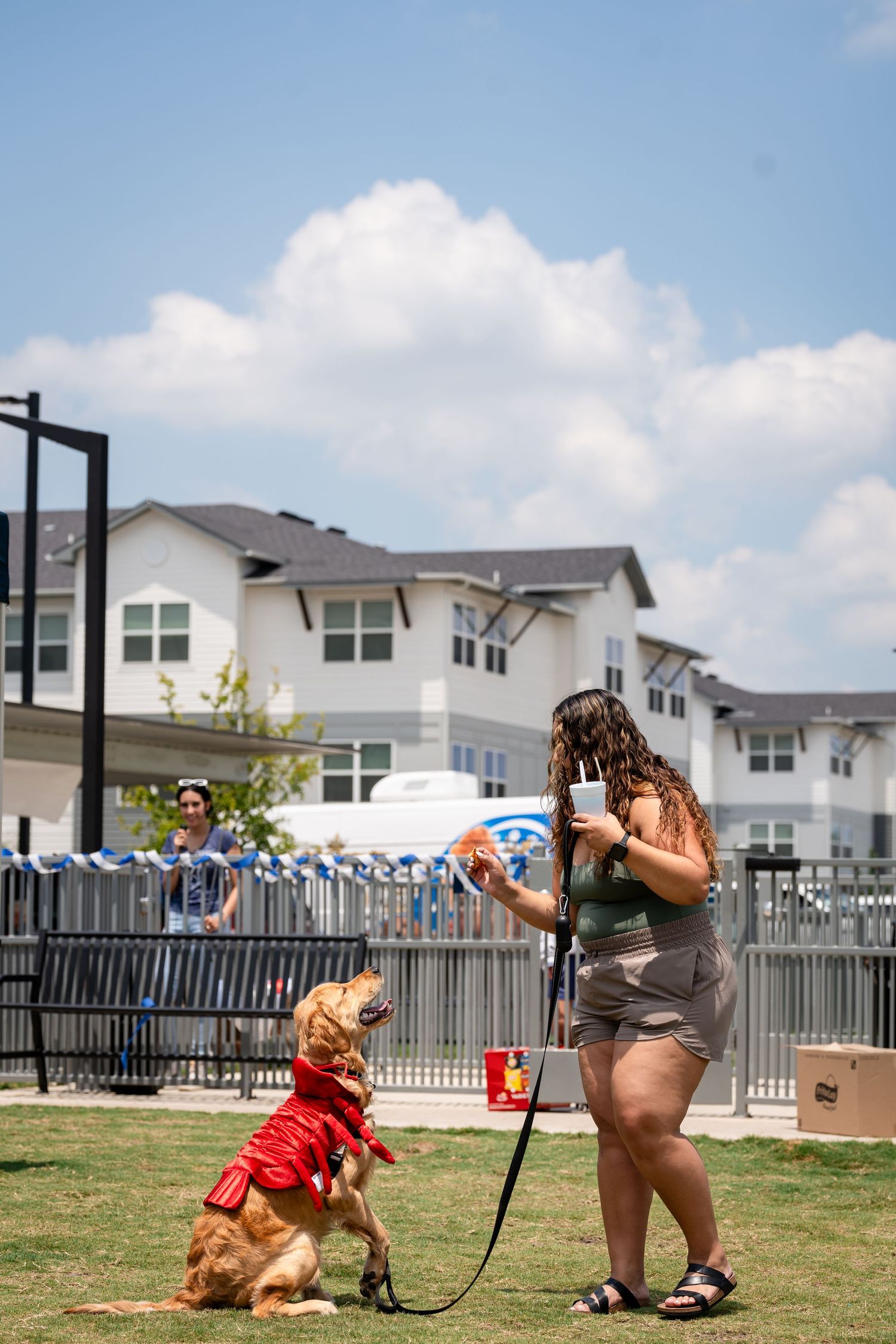 A dog in a red outfit performs obedience training on a grassy field near residential buildings.