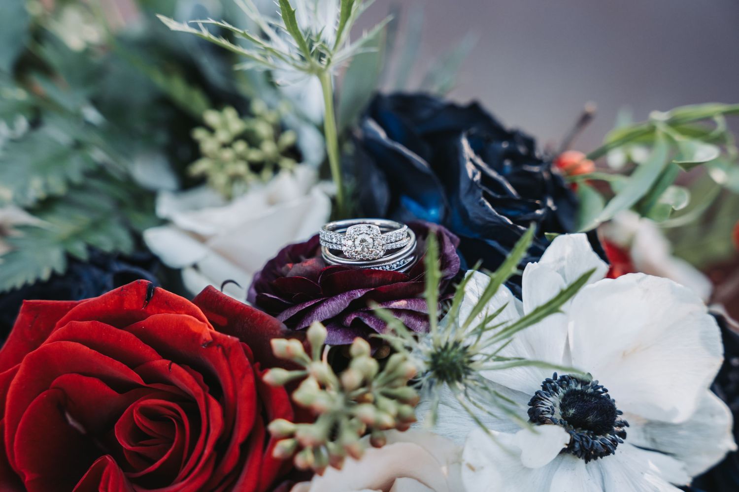 Closeup of wedding rings nestled among red roses and white anemone flowers in a floral arrangement.