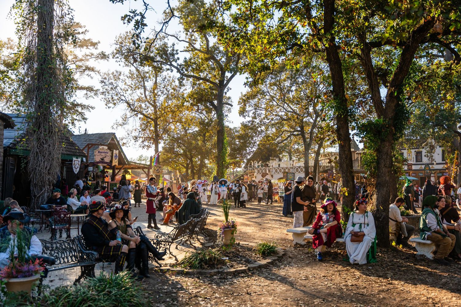 A panoramic view of people gathered under shady trees at an outdoor festival during golden hour.