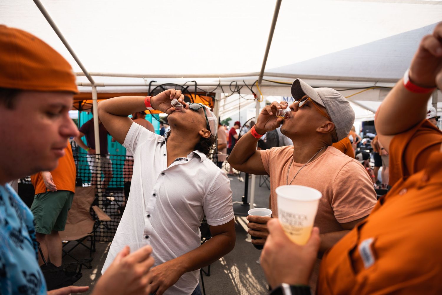 Group of friends toasting and drinking at a lively outdoor celebration.
