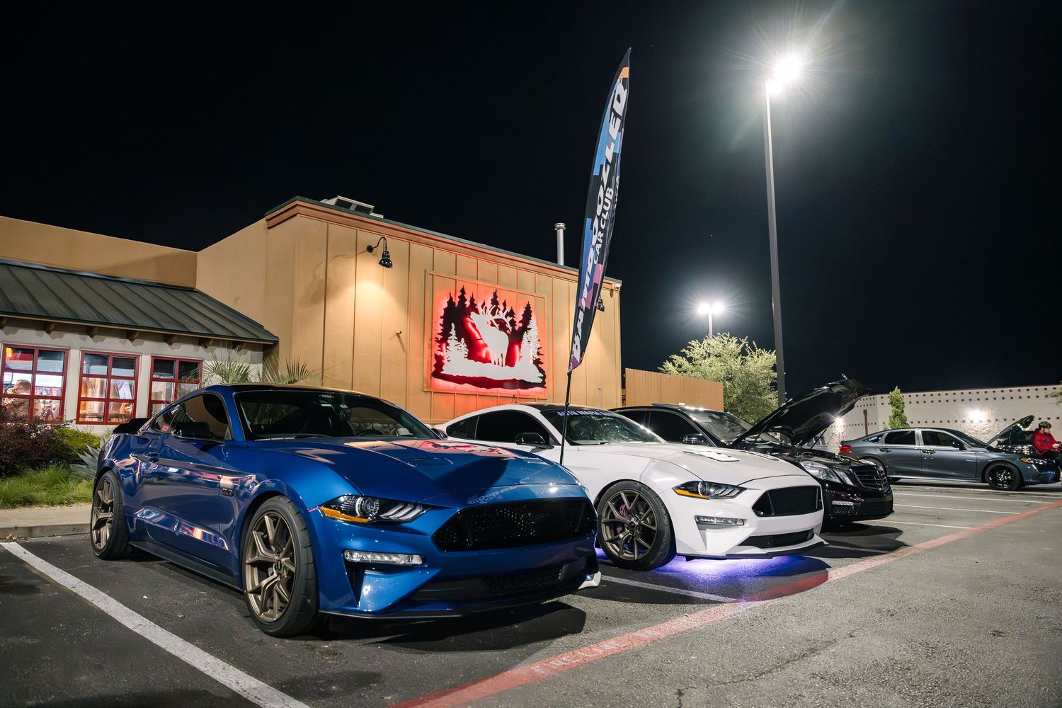 Row of Ford Mustangs displayed at a nighttime car meet with bright lighting.