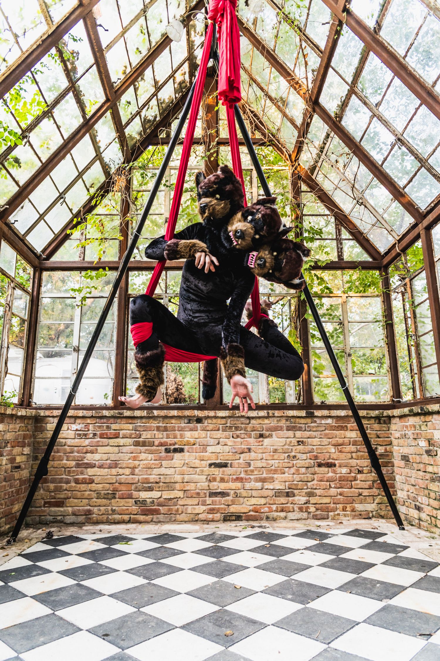 Aerial performer in black attire suspended from red silks in a greenhouse with checkered floor and brick walls.