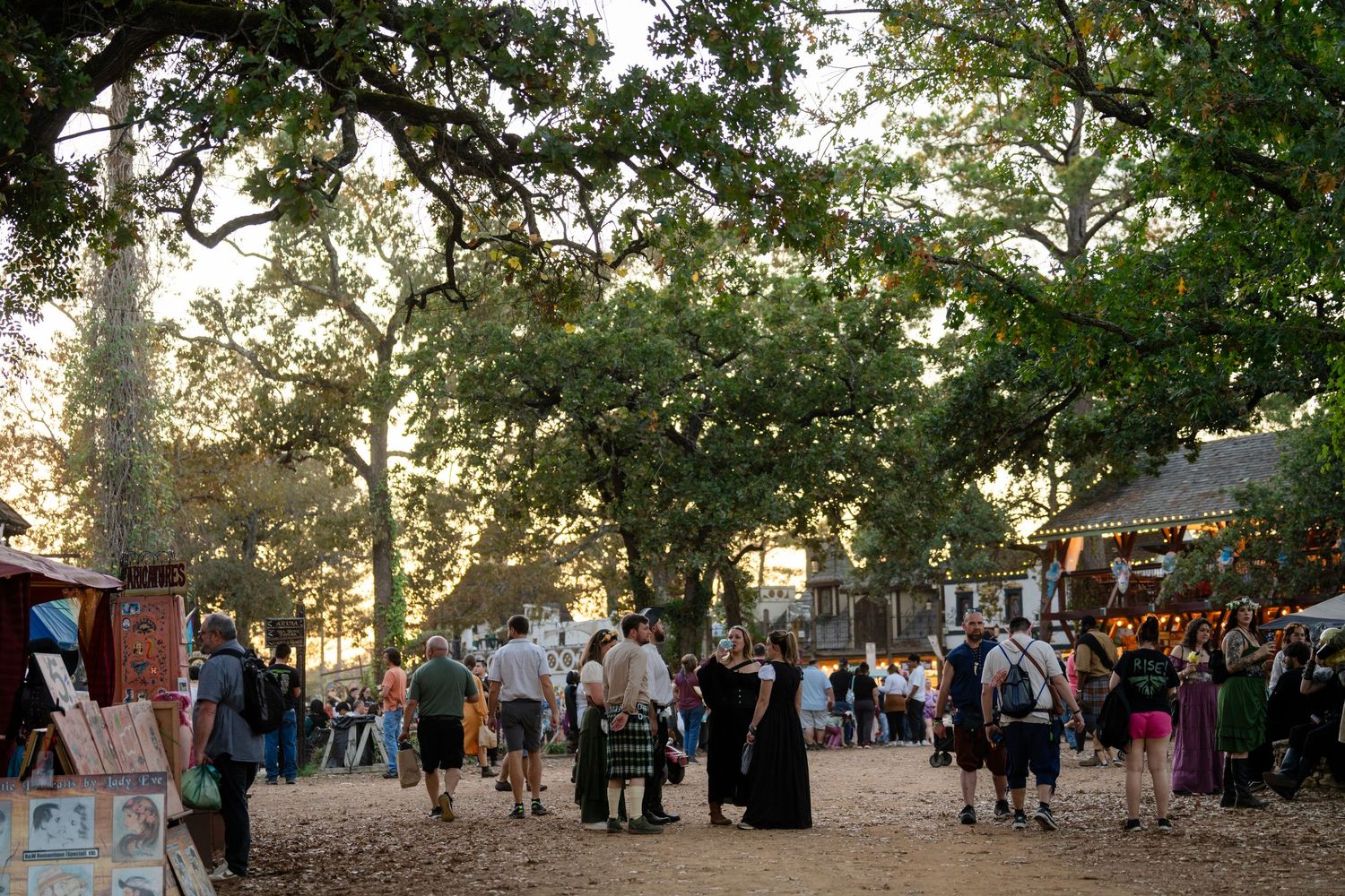 Crowds gather at an outdoor event venue with trees and evening sunlight filtering through the branches.