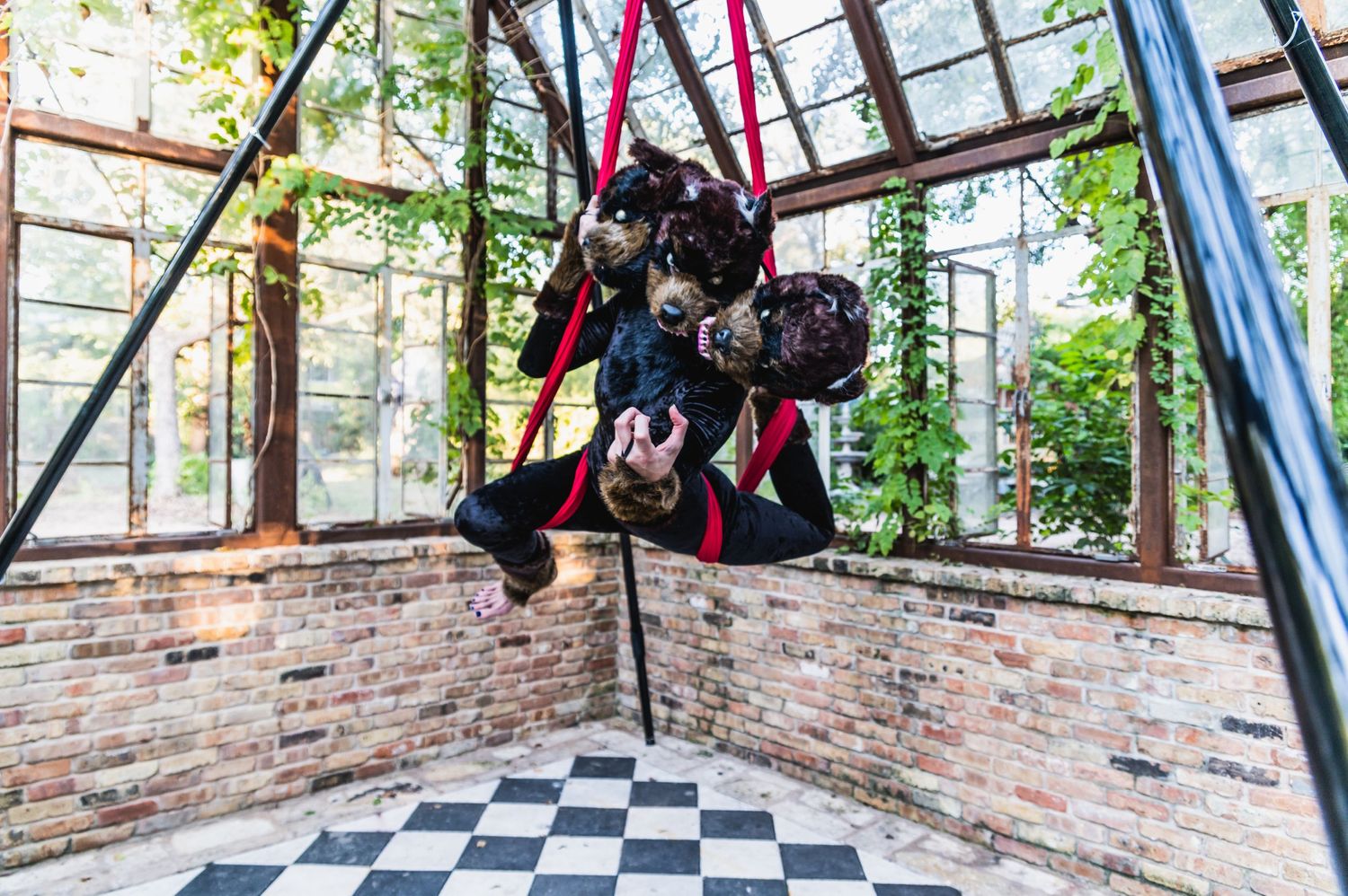 Aerial acrobat performs on red silks in a greenhouse with checkerboard flooring.