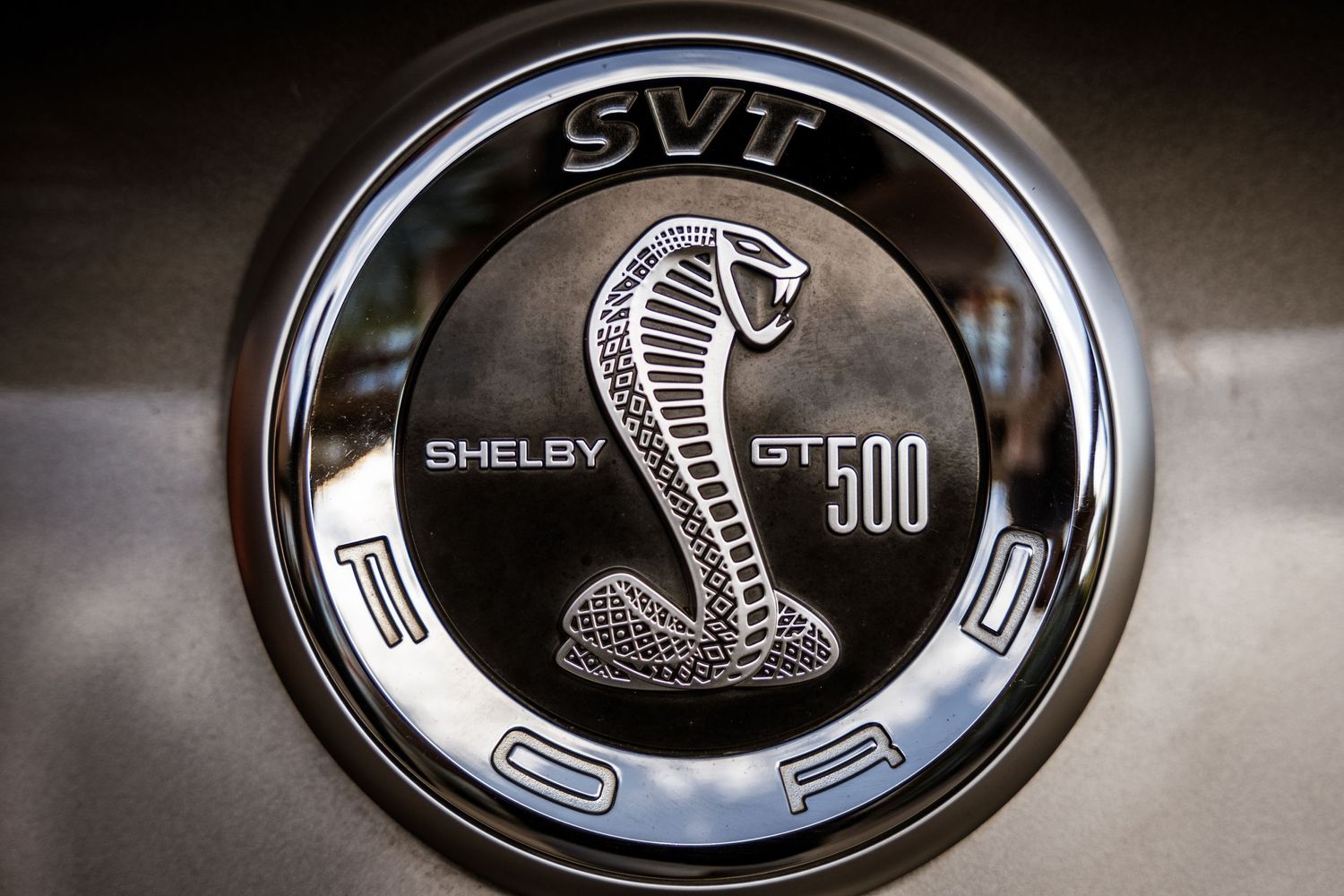 A chrome Shelby GT500 cobra emblem badge on a dark metallic car surface.