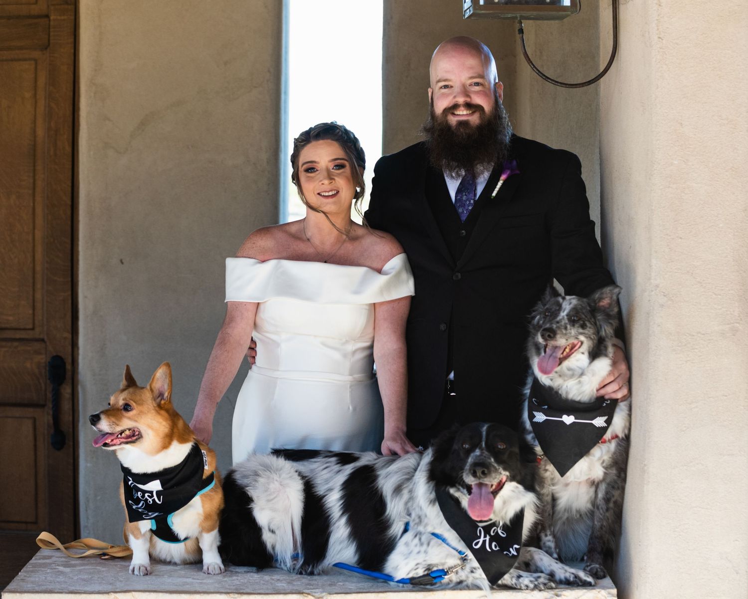 A couple poses with their three dogs wearing formal attire for a wedding photo.