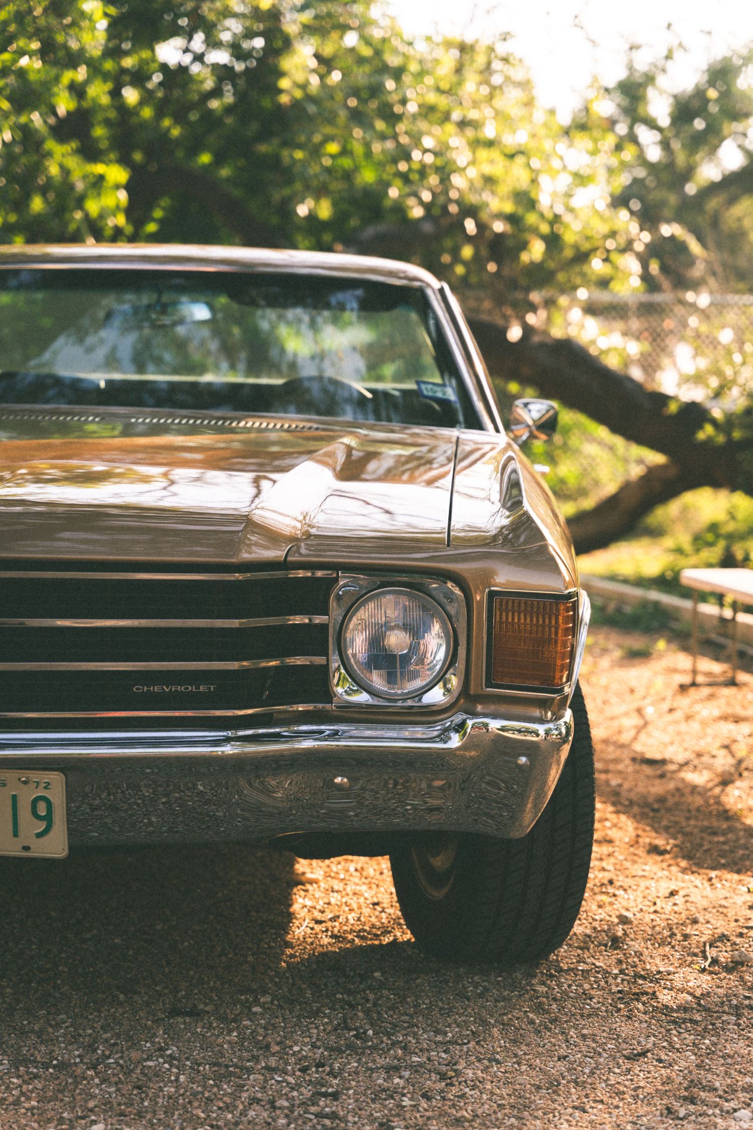 Front view of a classic vintage Chevrolet car grille and headlight in warm sunlight.