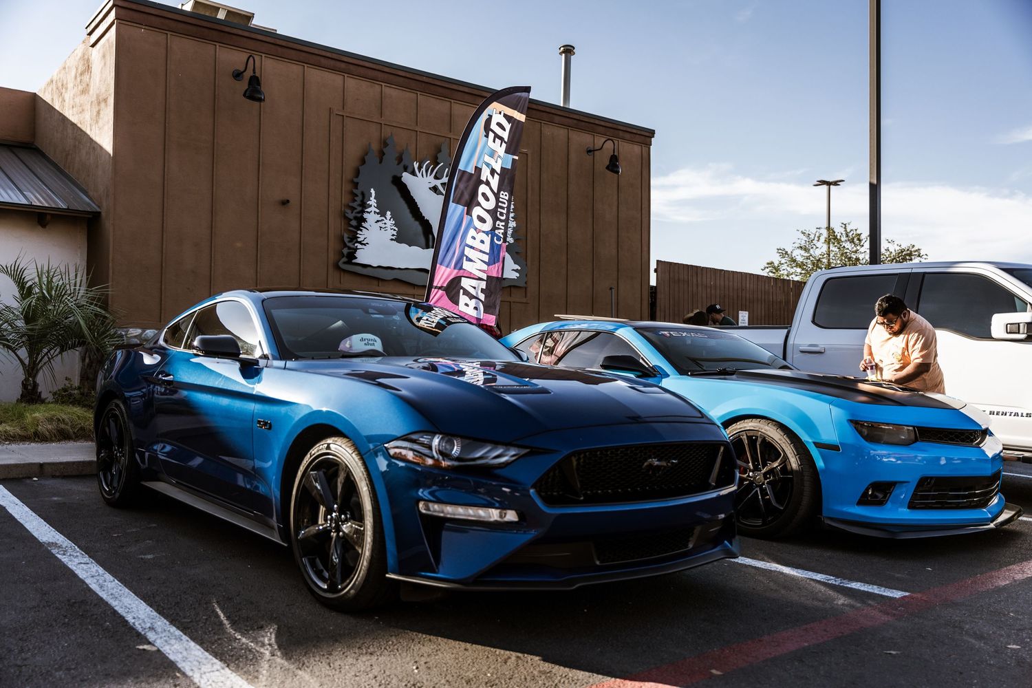 Two modified Ford Mustangs in blue parked side by side at a car meet.