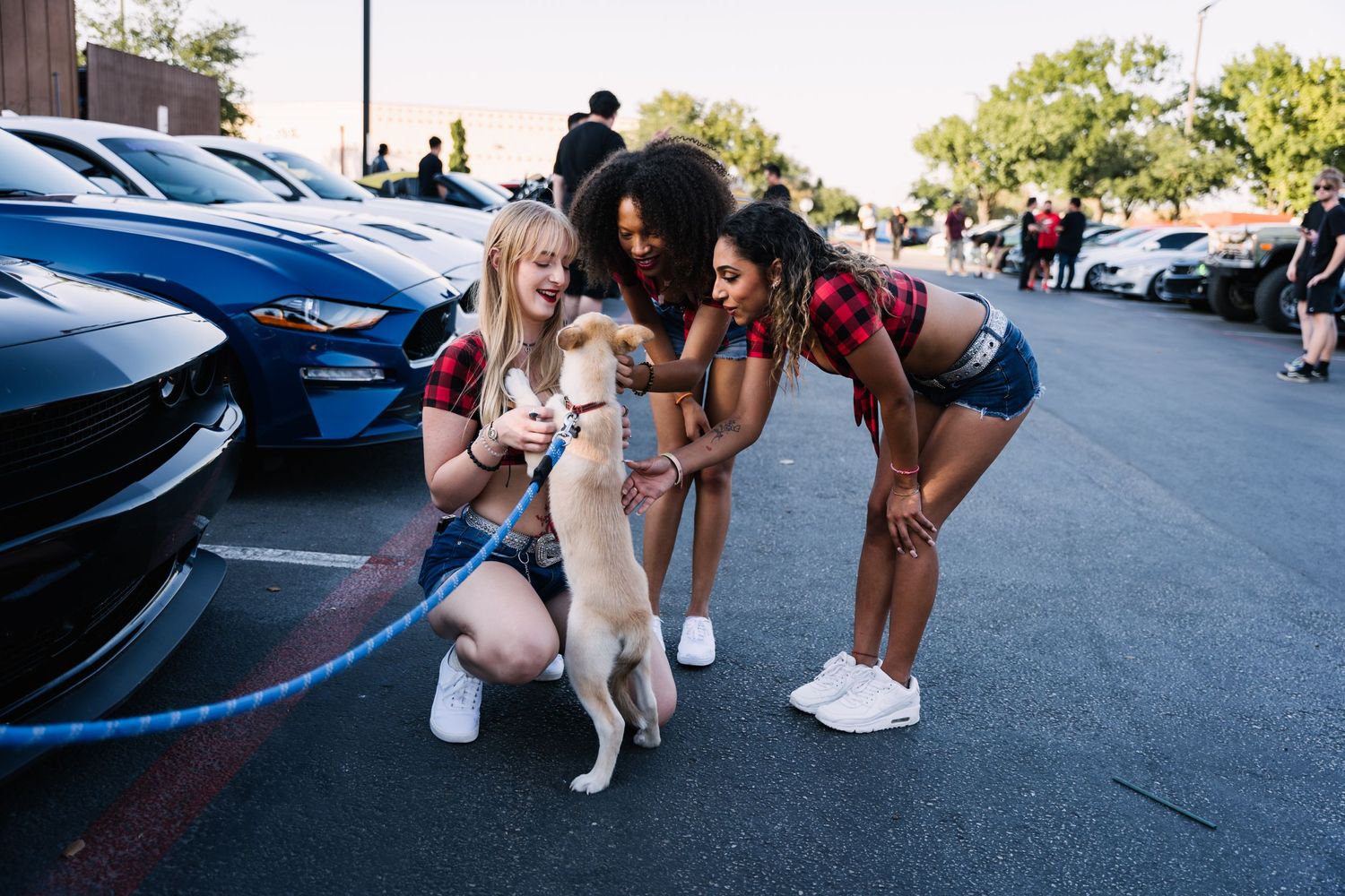 Friends gather around to pet a small white dog on a blue leash in parking lot.