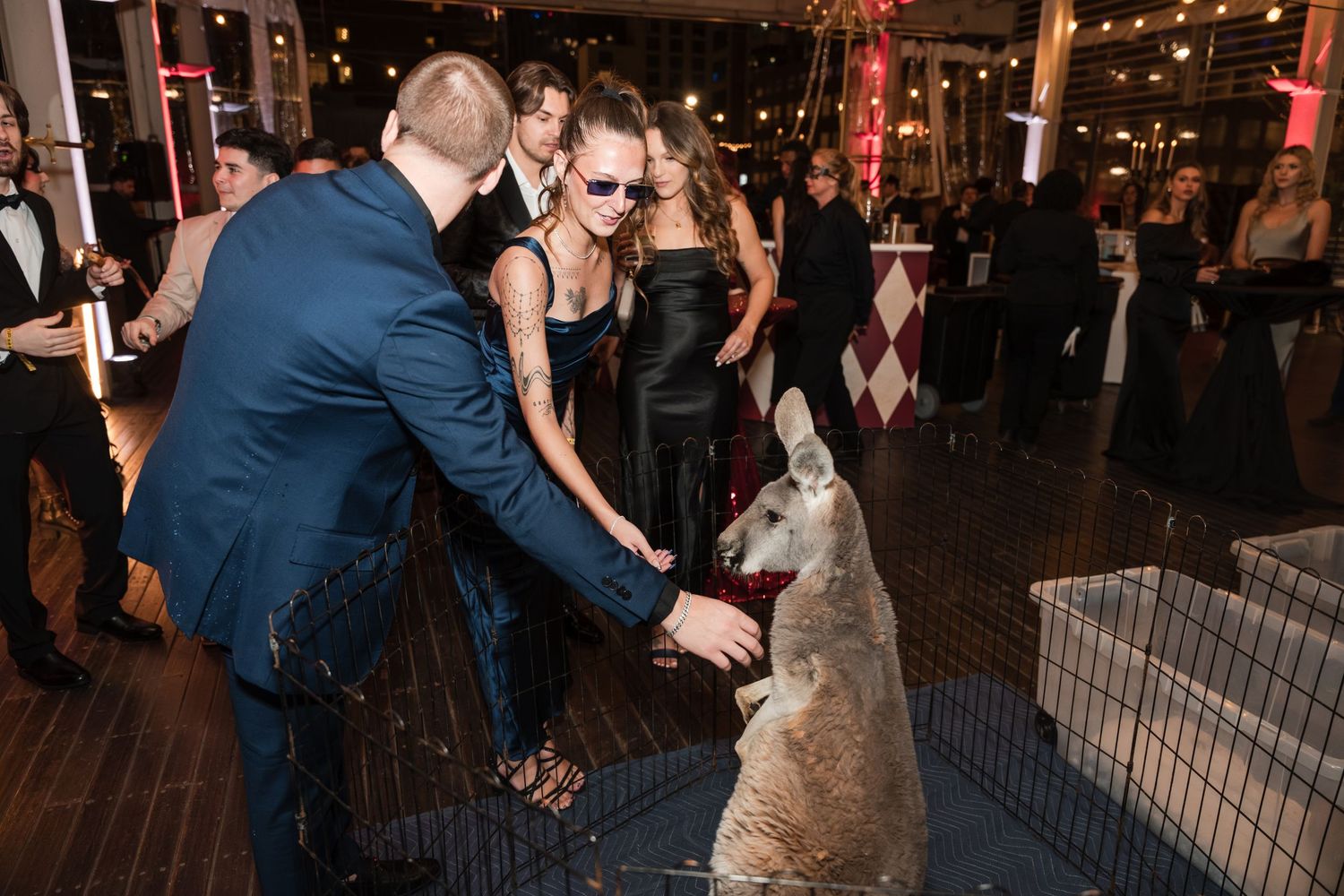 Wedding guests dancing together on a dark dance floor at an evening reception celebration.