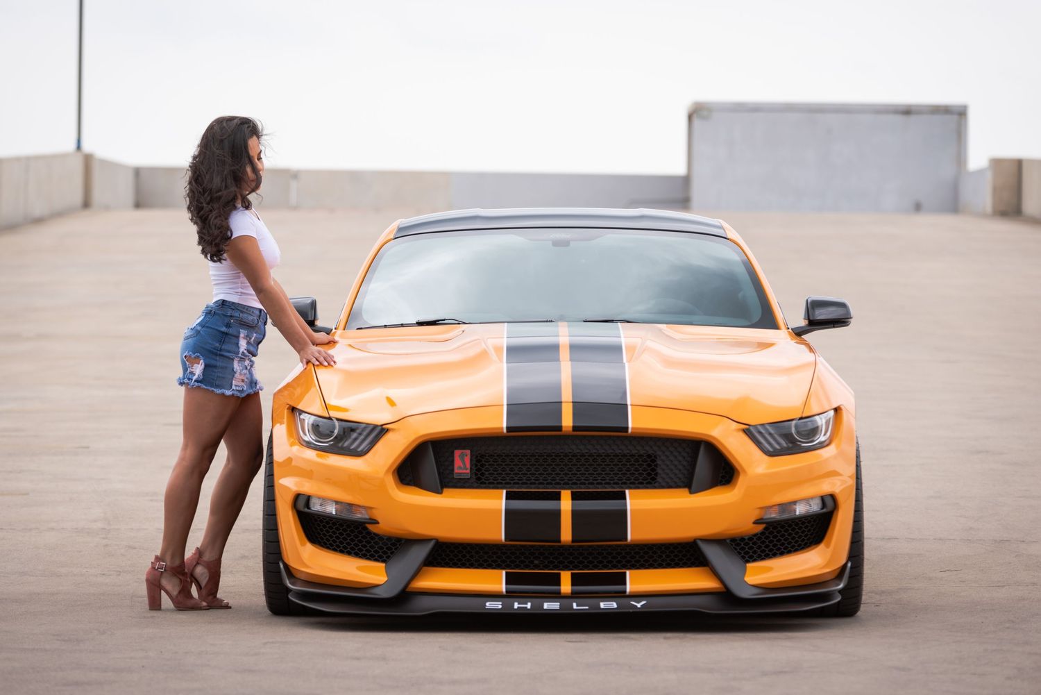 Orange Ford Mustang GT350 with black racing stripes parked on a rooftop.