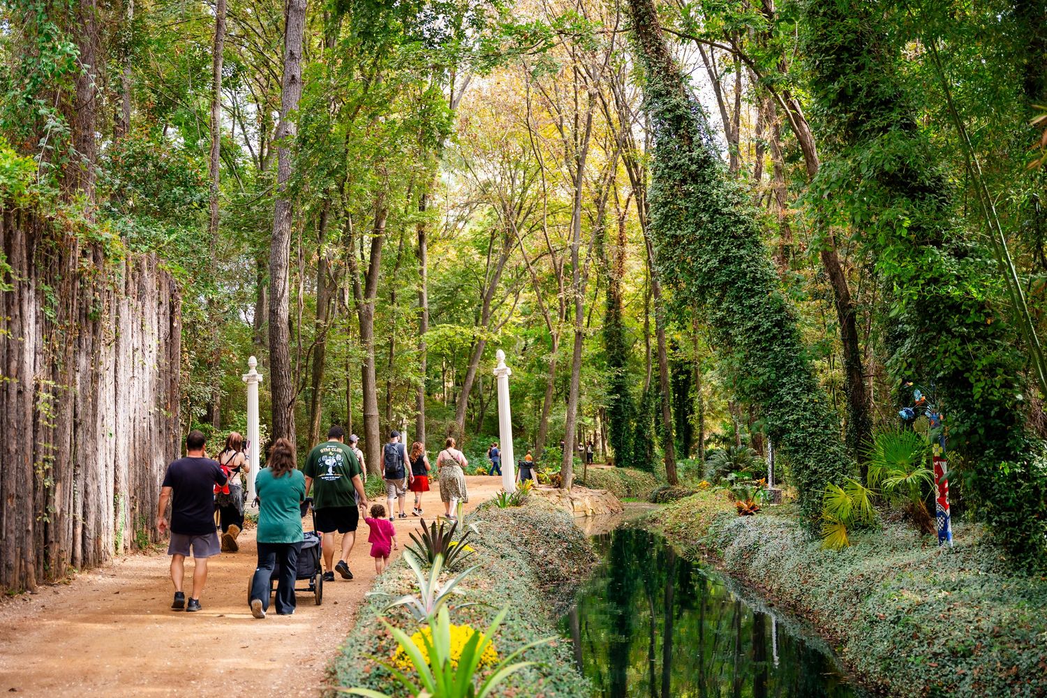 A serene tree-lined path in a park with people walking and jogging through the natural scenery.