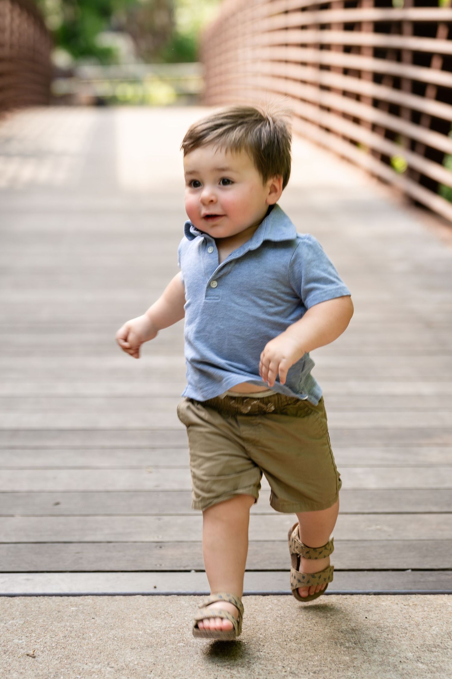 A toddler in a blue polo and khaki shorts walking on a wooden bridge pathway.