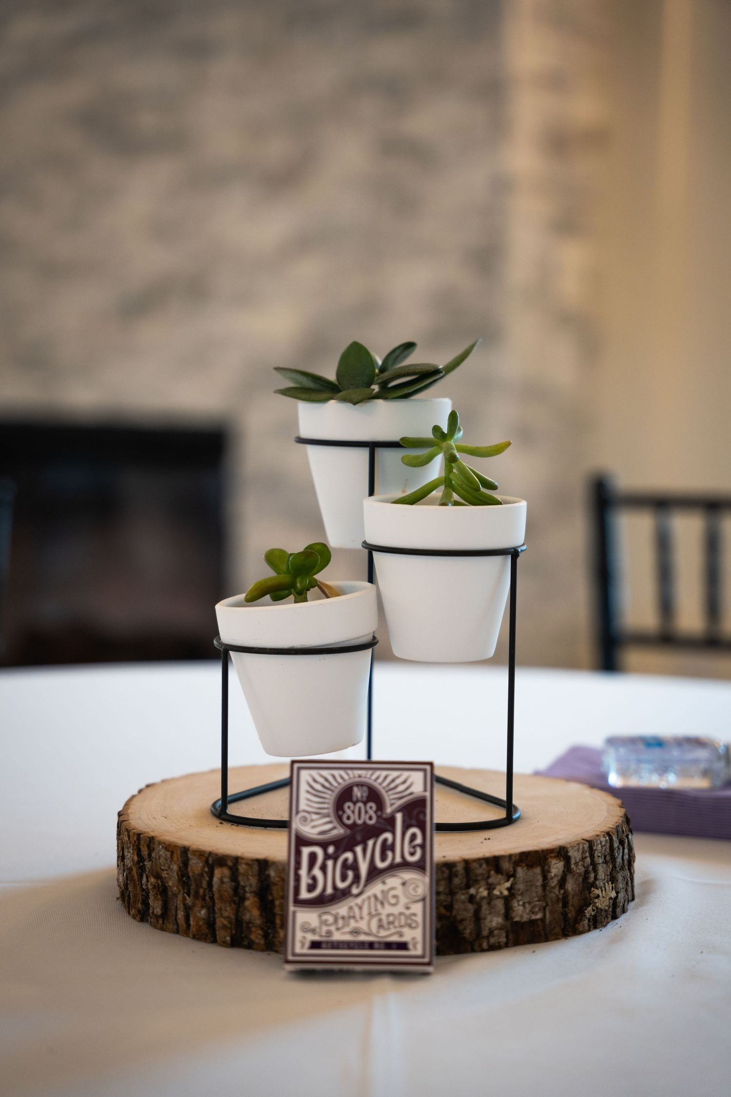 Small succulent plants in white pots arranged on a wooden slice with a vintage Bicycle playing card.