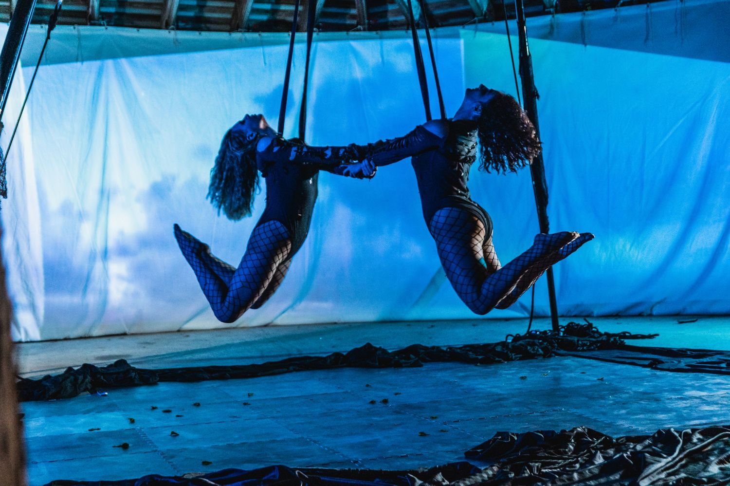 Two aerial dancers create dynamic poses while suspended against blue backdrop.