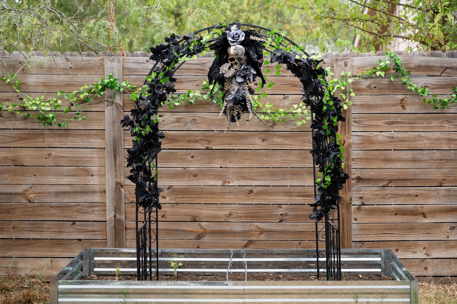 Black metal wedding arch decorated with dark green foliage against wooden fence backdrop.