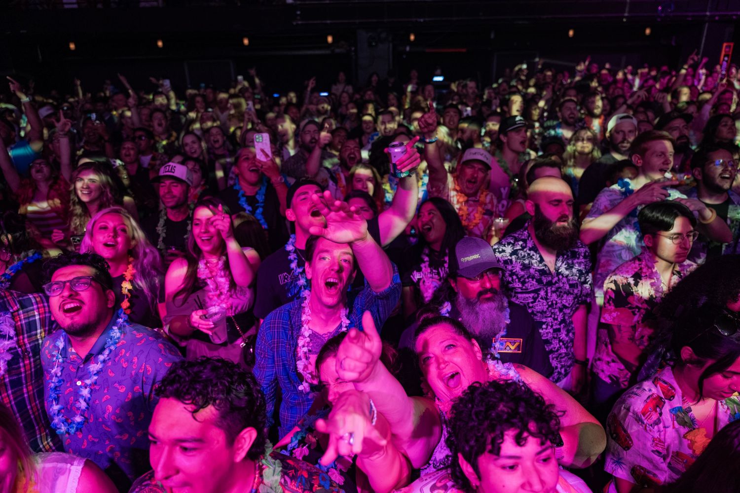 Excited crowd of concert-goers bathed in purple light, cheering and celebrating at a live music event.