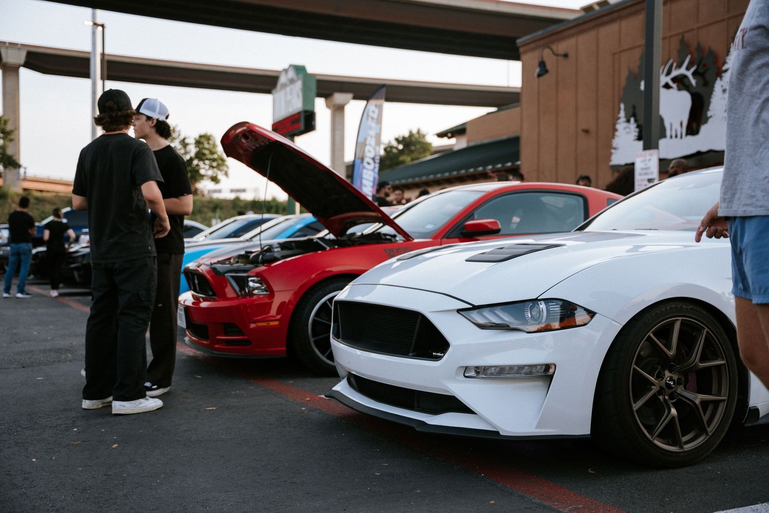 Modified Ford Mustangs and performance cars on display at an automotive gathering.