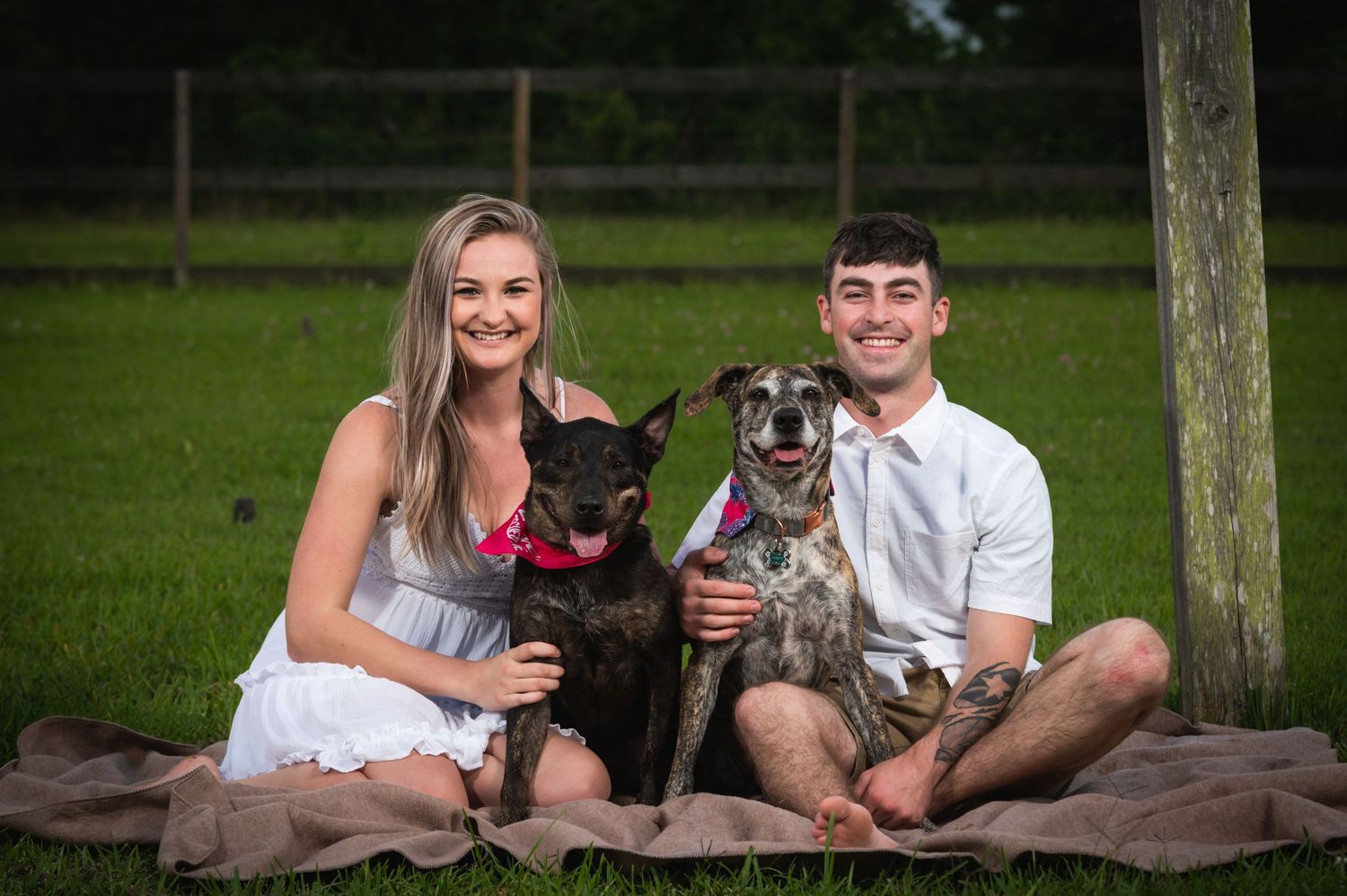 A couple sits on a blanket outdoors with their two dogs for a casual portrait session.