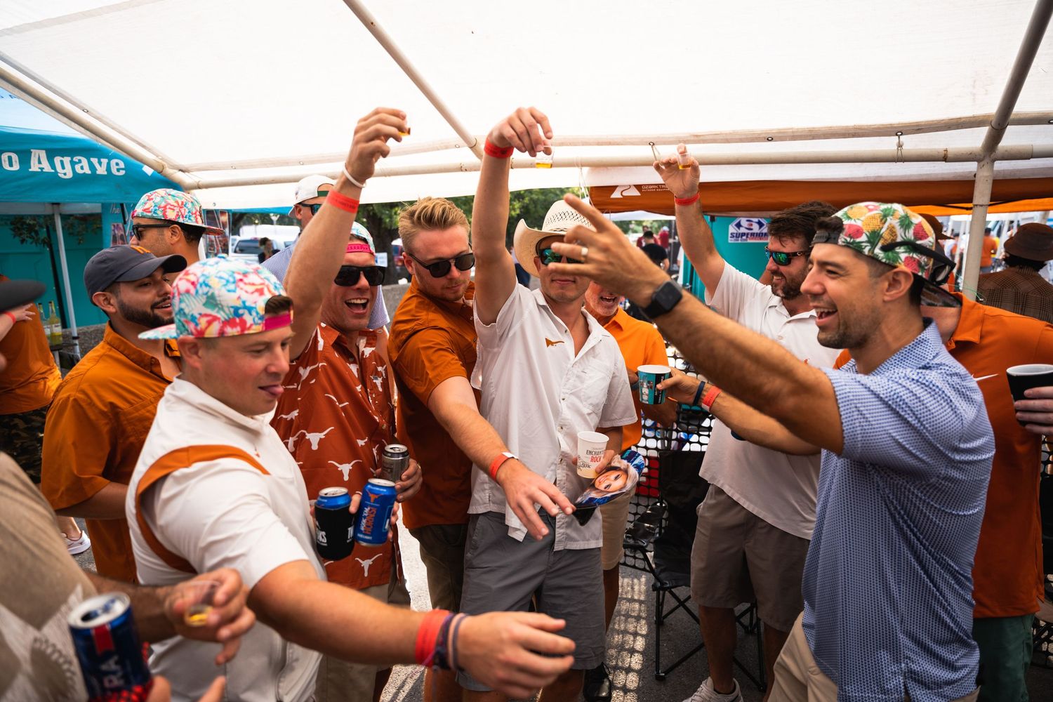 Enthusiastic crowd with raised arms celebrating at an outdoor event.
