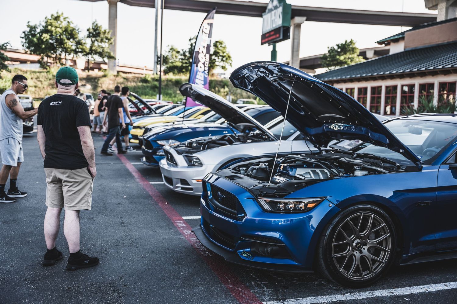 Line of Ford Mustangs with open hoods at outdoor car show.