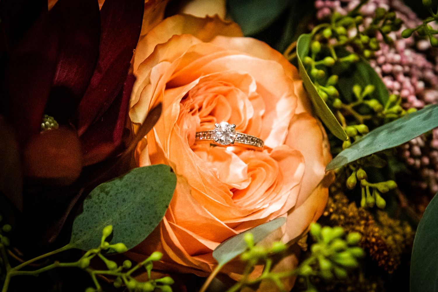 Diamond engagement ring nestled in center of peach-colored rose bloom.