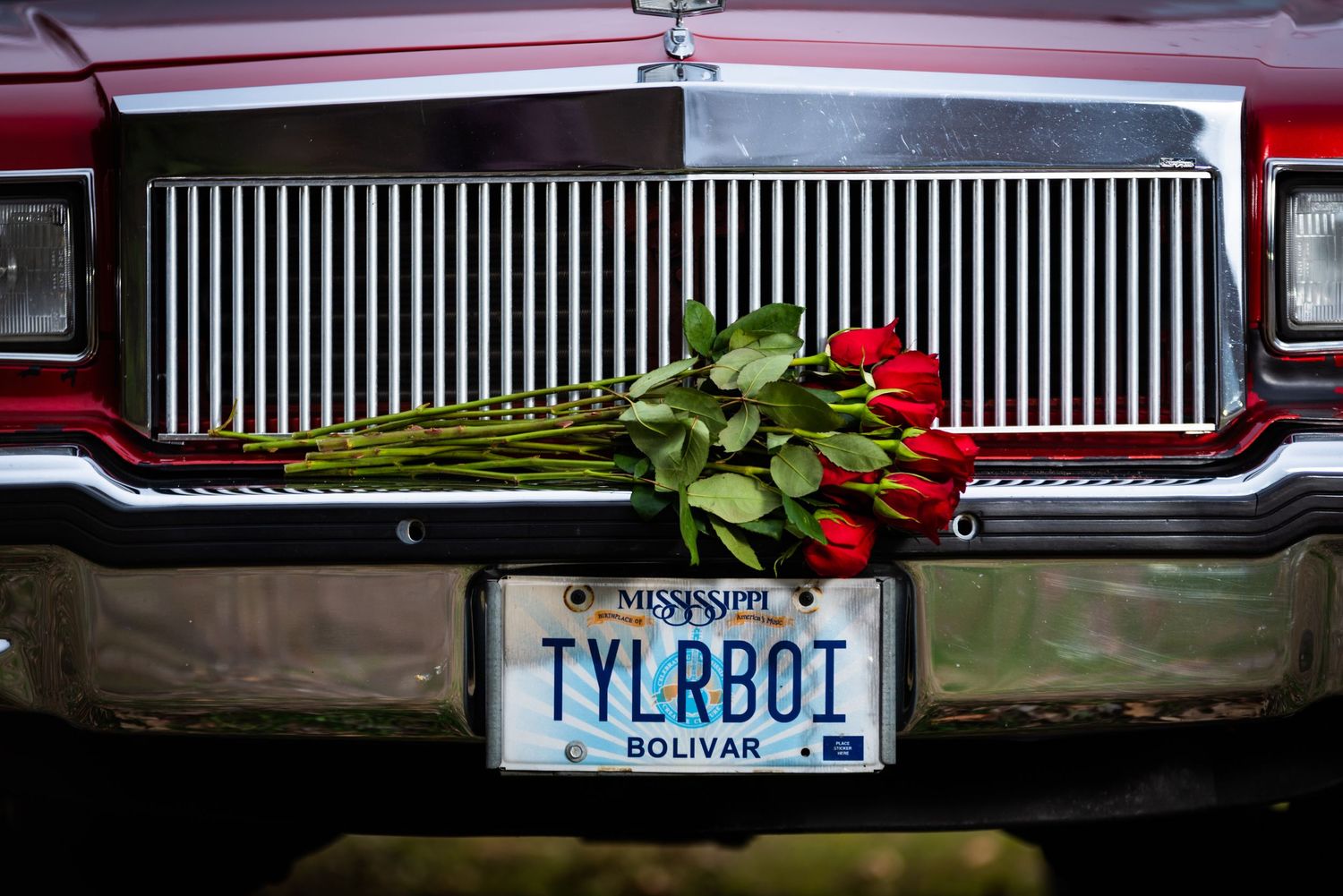 Red roses rest on a vintage car grille with Mississippi license plate reading TYLRB01.