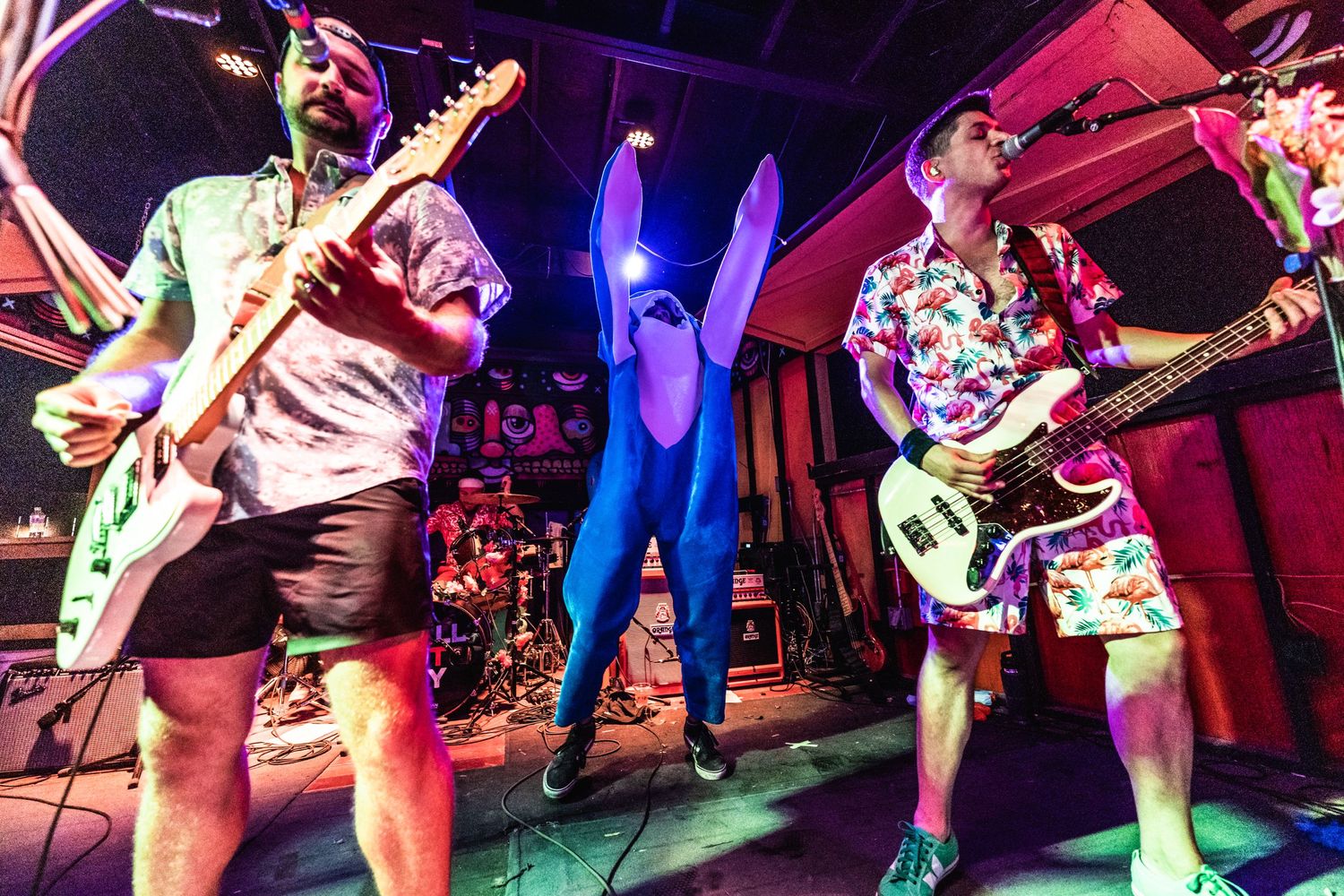Energetic band performs on colorfully lit stage with guitarists in tropical shirts.