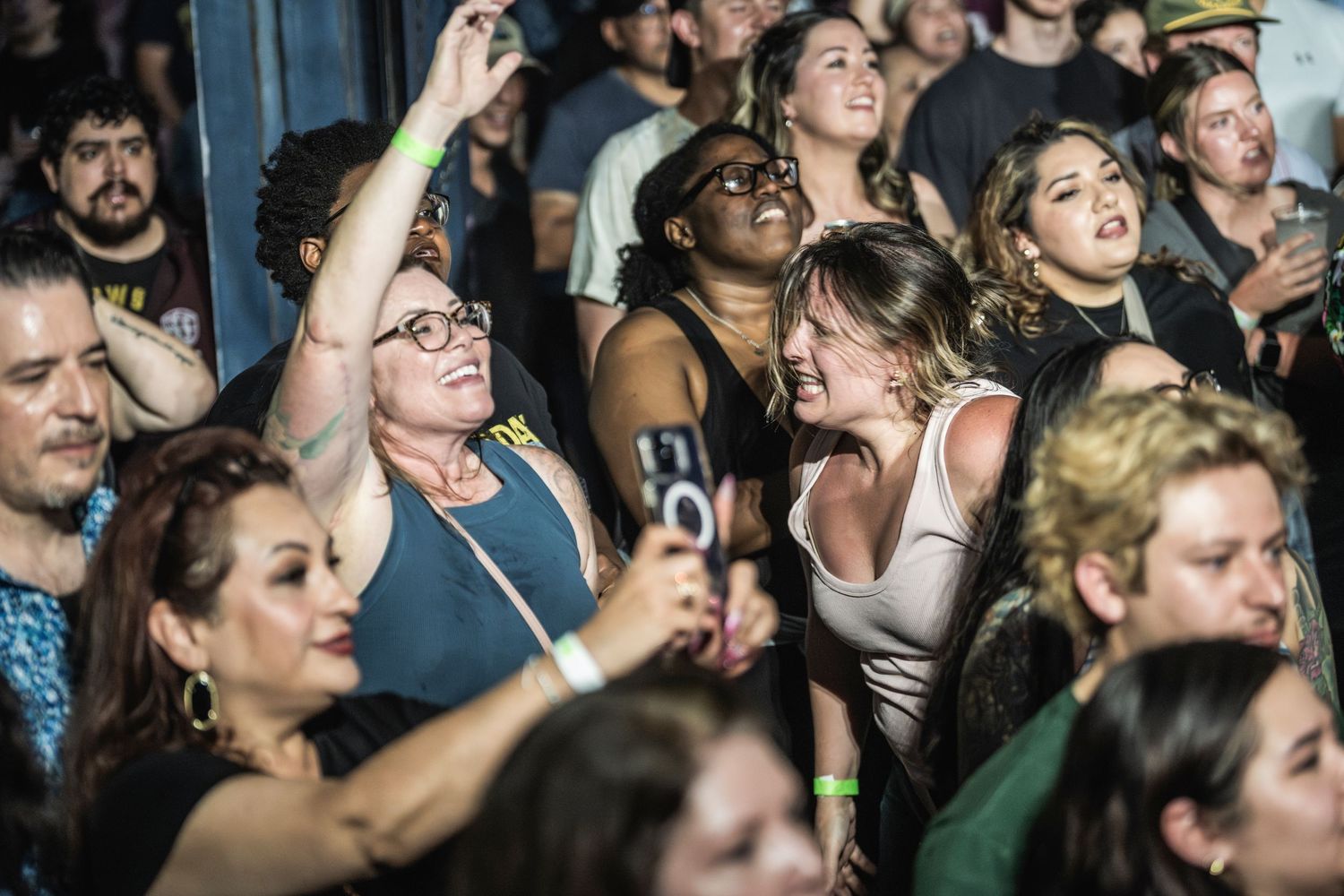 A animated crowd of concert goers dance and cheer together with their hands raised in excitement.