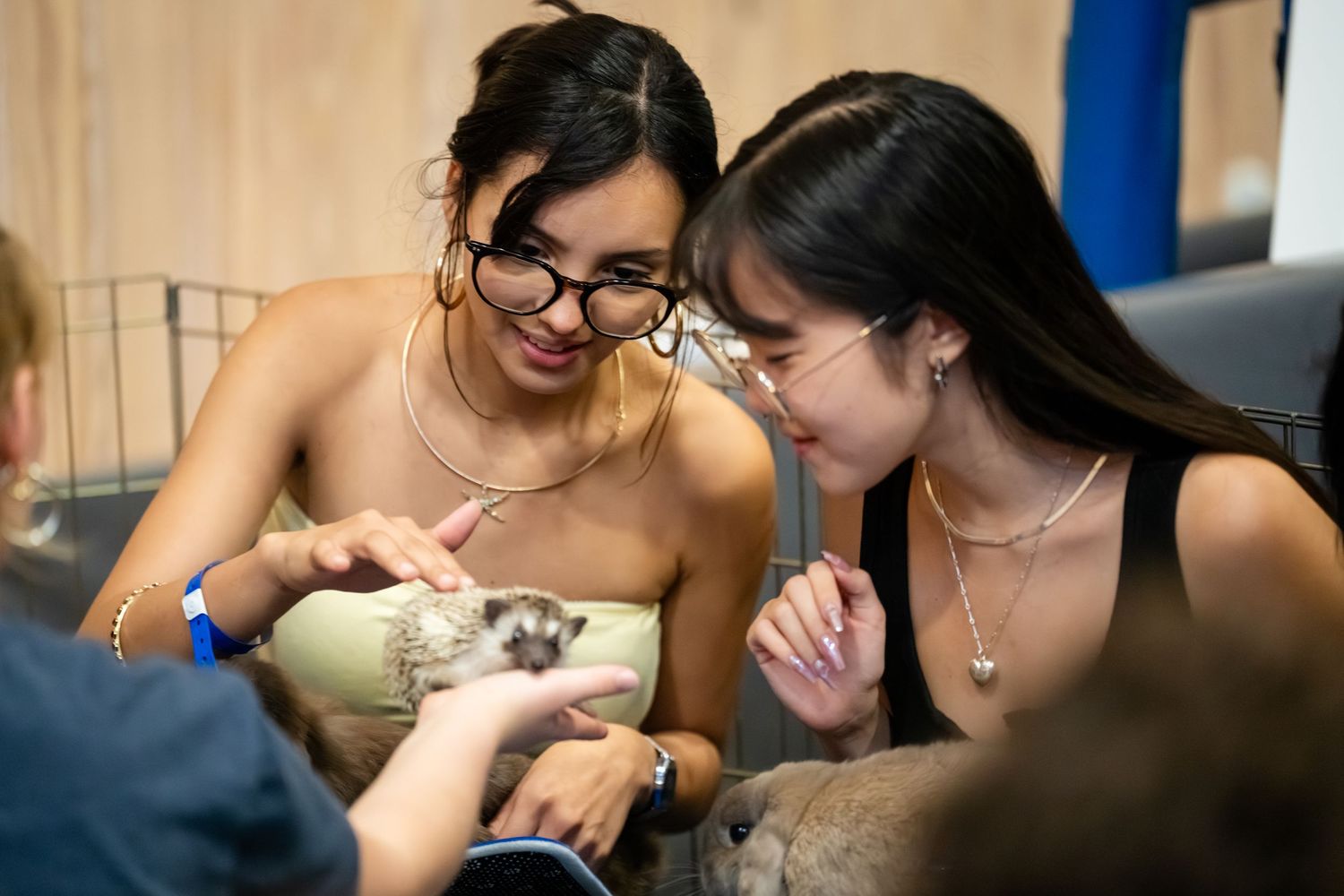 Two young women smiling while holding and petting a small hedgehog indoors.