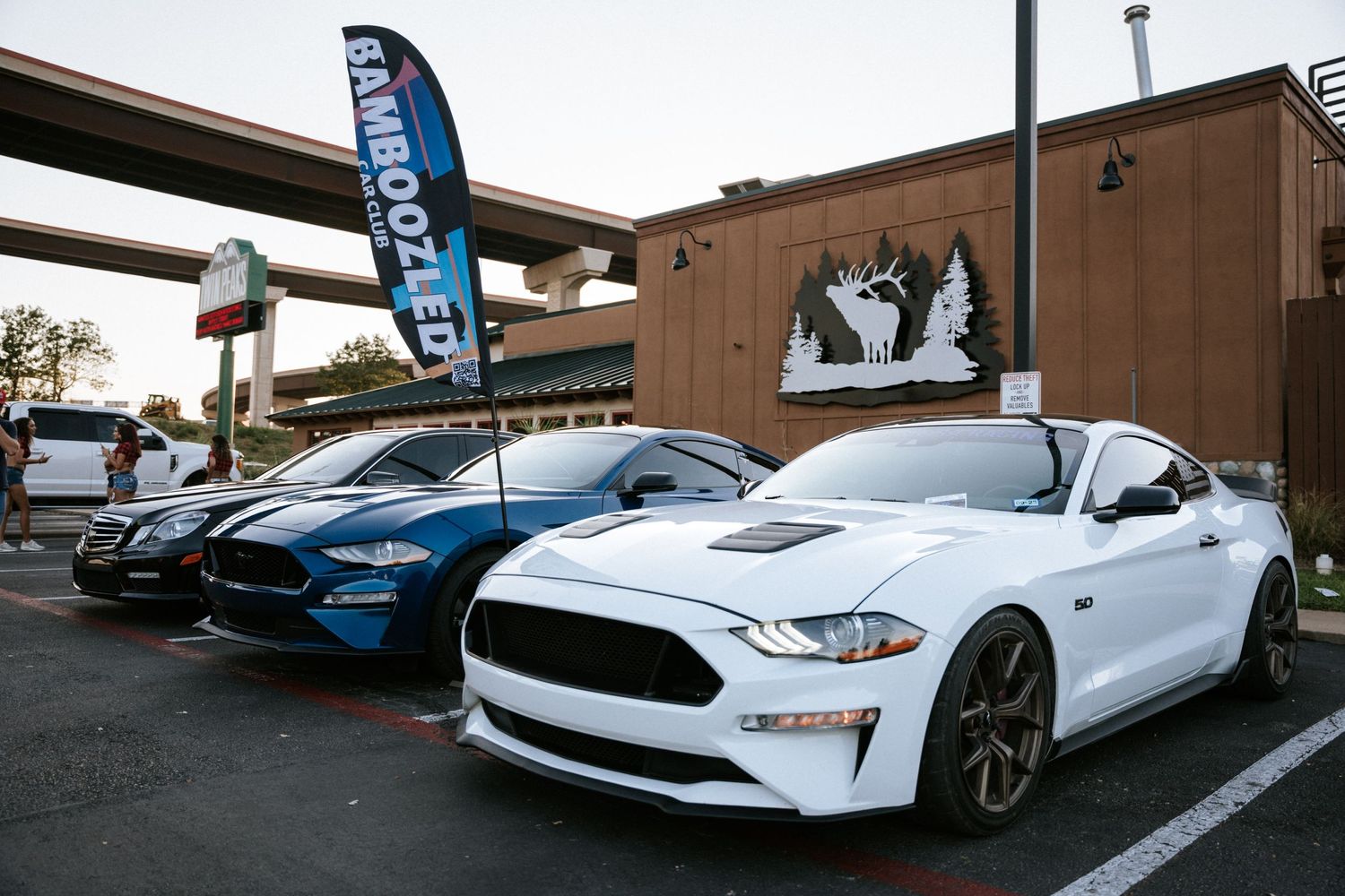 Modern Ford Mustangs lined up at a car meet with a promotional banner in the background.