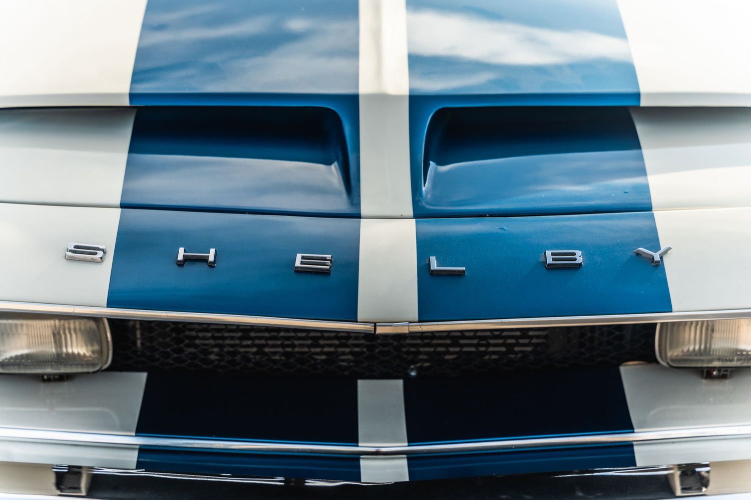Close up of vintage Ford Shelby Mustang hood with blue racing stripes.